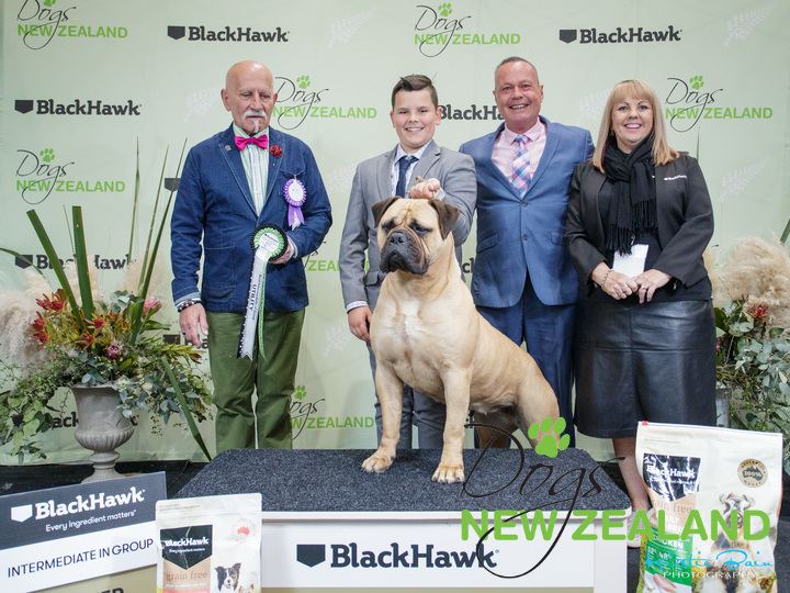 waterlea bullmastiffs