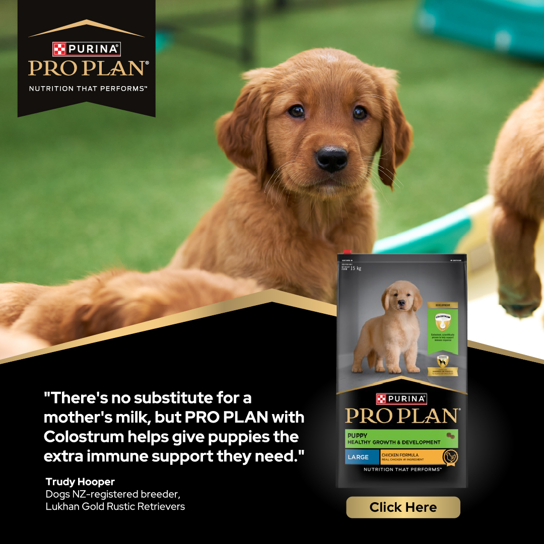 Purina Pro Plan